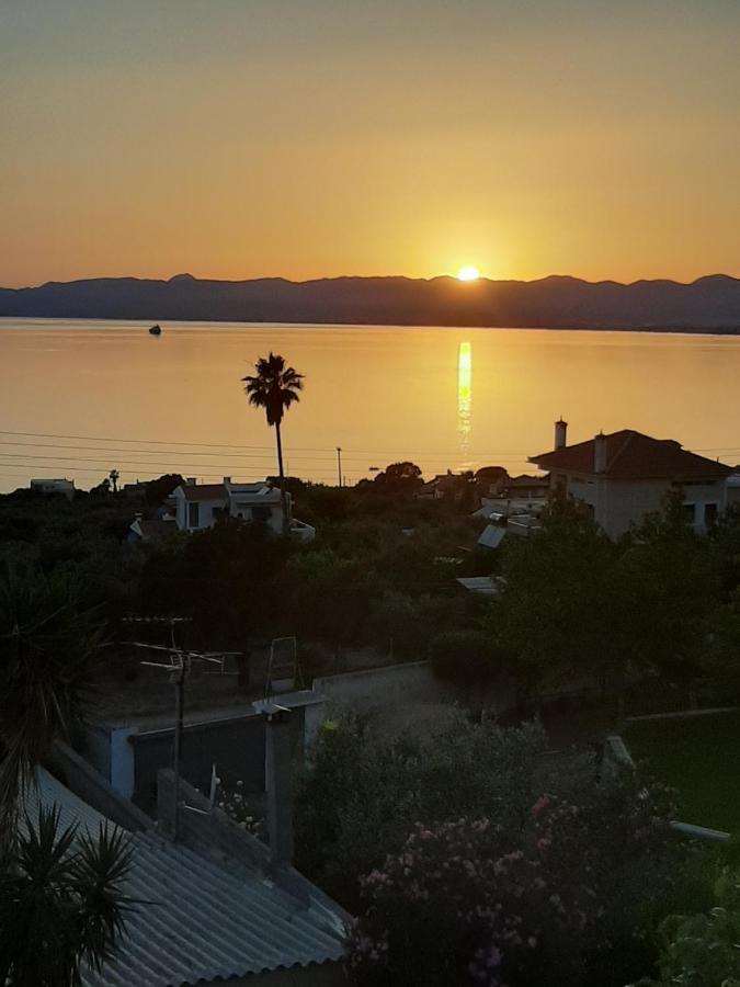 Elgeorge Holiday home